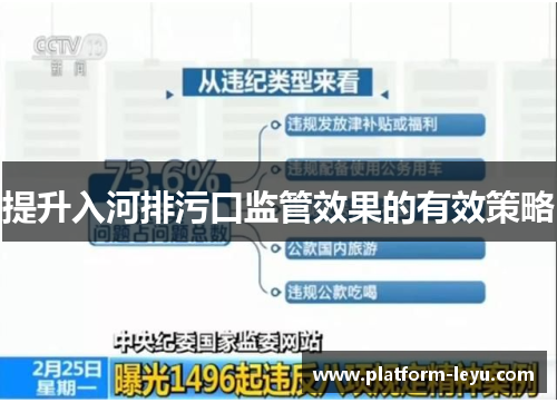 提升入河排污口监管效果的有效策略