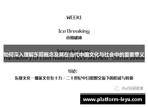 如何深入理解东超概念及其在当代中国文化与社会中的重要意义