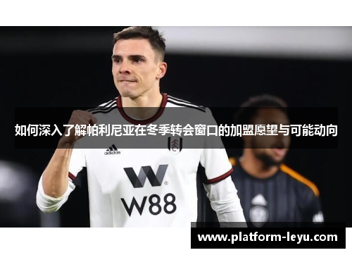 如何深入了解帕利尼亚在冬季转会窗口的加盟愿望与可能动向 如何深入了解帕利尼亚在冬季转会窗口的加盟愿望与可能动向