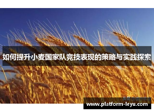 如何提升小麦国家队竞技表现的策略与实践探索