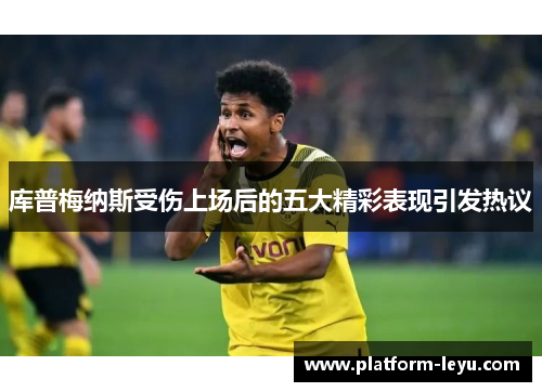 库普梅纳斯受伤上场后的五大精彩表现引发热议